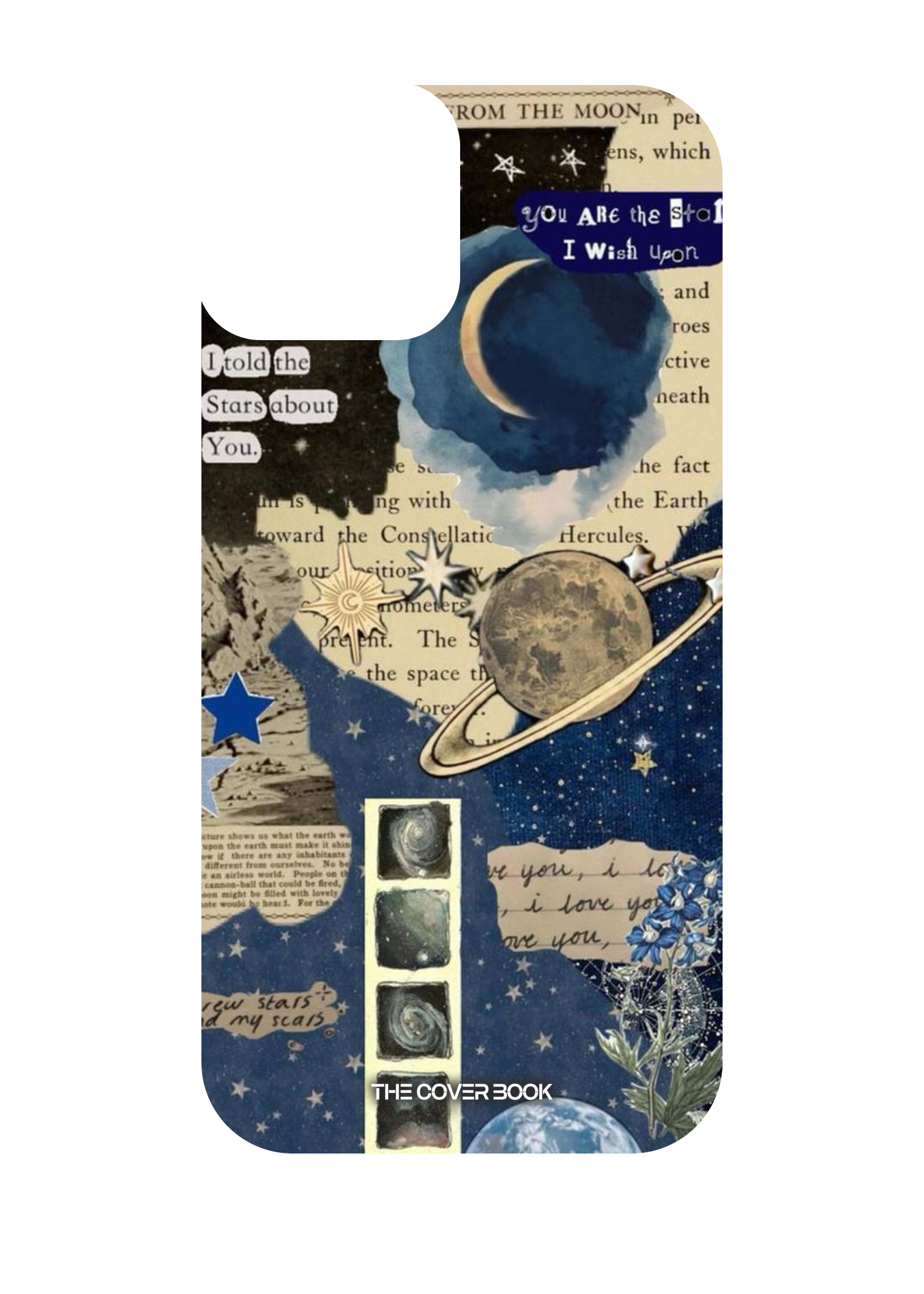 money plant money plant