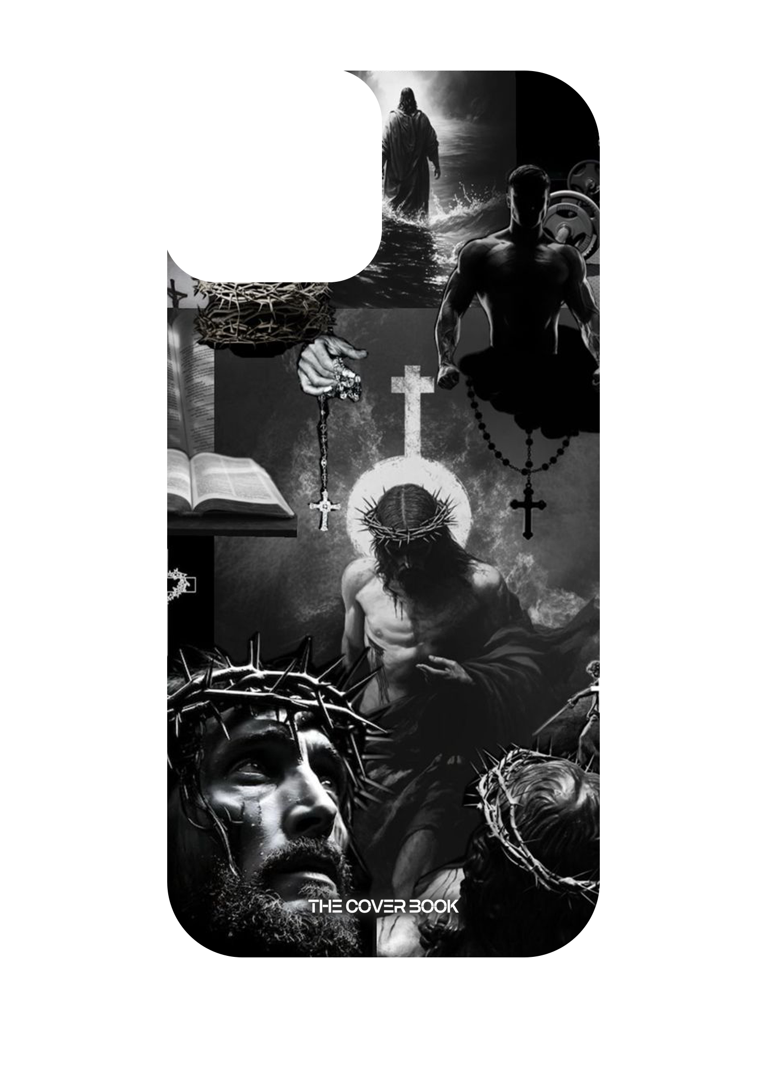 cleistocactus cleistocactus